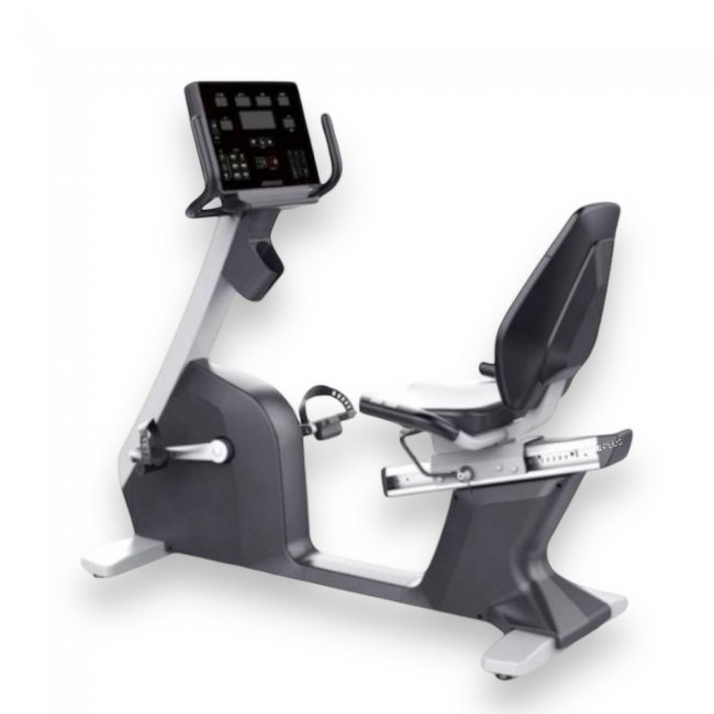 RECUMBENT BIKE  R020G