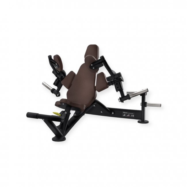 TRICEPS EXTENSION  UL—06