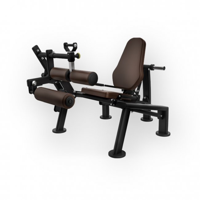 SEATED LEG CURL  UL—09